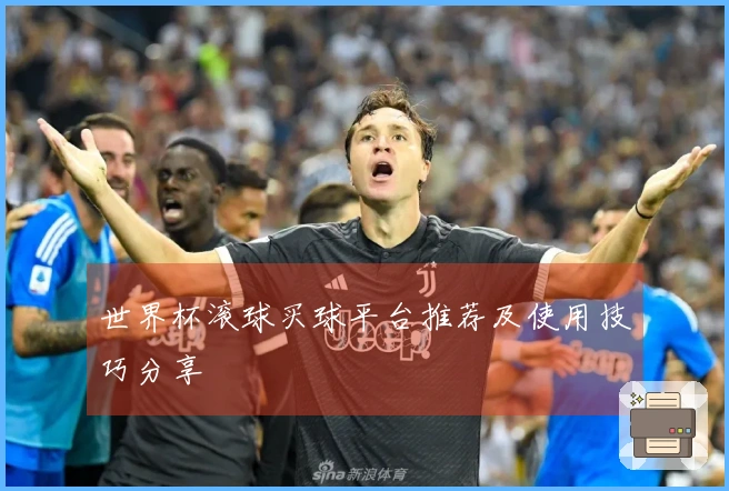 世界杯滚球买球平台推荐及使用技巧分享