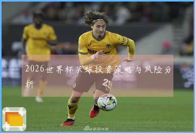 2026世界杯买球投资策略与风险分析
