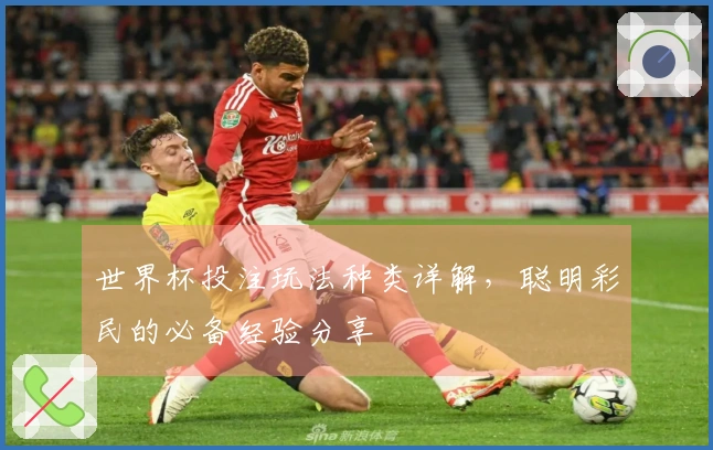 世界杯投注玩法种类详解，聪明彩民的必备经验分享