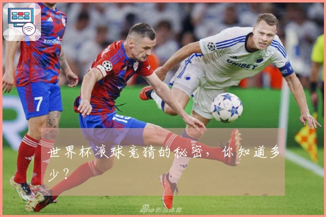 世界杯滚球竞猜的秘密，你知道多少？