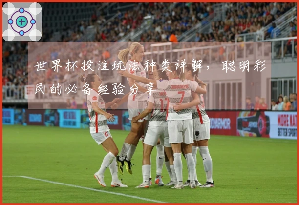世界杯投注玩法种类详解，聪明彩民的必备经验分享