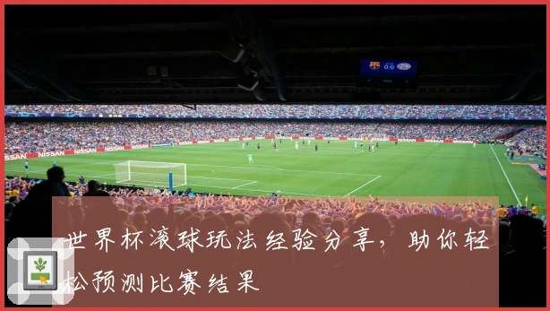 世界杯滚球玩法经验分享，助你轻松预测比赛结果