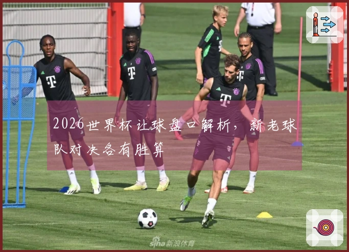 2026世界杯让球盘口解析，新老球队对决各有胜算